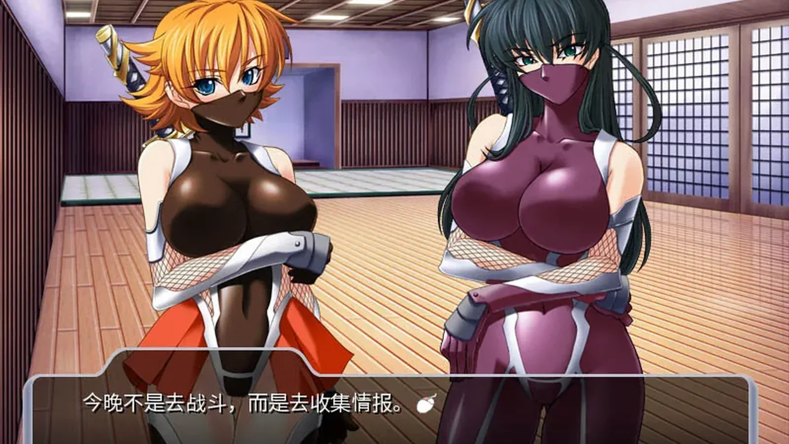 对魔忍阿莎姬 Taimanin Asagi16:9游戏画面